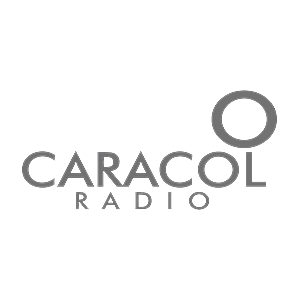Home caracol radio gris 85x40 300x300